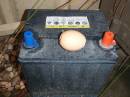battery_egg.jpg