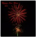 day_366_Happy_New_Year_2012.jpg