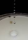 droplets_and_splash_3.jpg