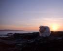 godrevy_sheep_sunset_800x600_.jpg