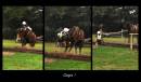 horse-jump-web.jpg