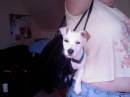 my_dog5.jpg