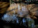 ripples.jpg