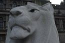 stonedlionscaled.jpg