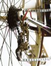 tm_061scaled.jpg