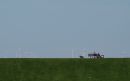 wathing_windmills2_scaled.jpg