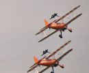 wing_walk1.jpg