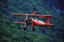 wingwalker1.jpg