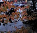 001_Rainy_Day_EDIT_-_PERFECTLY_CLEAR_-_ADJUST_TOOLS.jpg