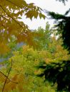 002_C_CURVES-I-34_O---48.jpg