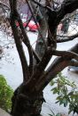 002_S3_AUTO_C_PERFECTLY_CLEAR-VIVID.jpg
