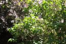 002_S3_IS_ALL_AUTO_4_KELVIN_AVERAGE_5908_TINT_7.jpg
