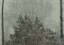 005_C_WHITE_BALANCE_4276_6300.jpg