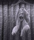 069_MONKEY_TOWEL_SCULPTURE_by_ROOM_STEWARD_.jpg
