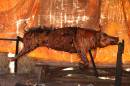 20090823_07237_noahpark_01.jpg