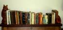 20100206_13459_roland_bookworm_02.jpg