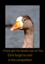 20100921_16979_ellesmere_03_01.jpg