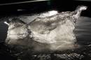 2011_01_09_00102_eccelshall_04.jpg