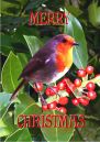 2015A5Xmasfinal.jpg