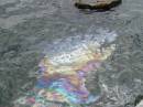 33_-_Duck_Tour_-_Pearl_Harbour_-_12.jpg