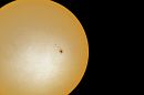 AR2529.jpg