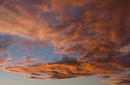 Autum_Sky_s_.jpg