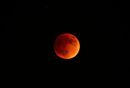 Blood_Moon_09_27_2015_ARC_5246_web1000.jpg