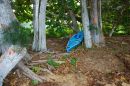 Blue_Kayak_DSC_0013.jpg
