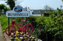 Bushmills_-_Giro_d_Italia_2014.jpg