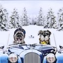 CHARISTMAS_CARD_001_EDIT_-_ADJUST_TOOLS_OVERVIEW.jpg