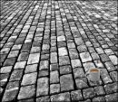 Cobbles_Tea.jpg