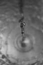 Copy_of_20d_water_3_010707_030.jpg
