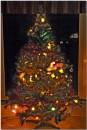 Cristree201206-014_copy.jpg