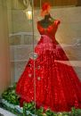 DSC00257a.jpg
