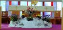 DSC00313_J.jpg