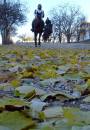 DSC00410c.jpg