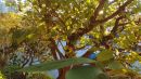 DSC01884_EVENING_LIGHT_IVORY_BLACK_-_COLOR_MATCHING_GUIDE_in_HUE_SATURATION.jpg