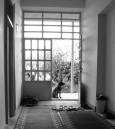 DSC02585a.jpg
