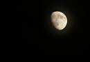 DSC05671.jpg