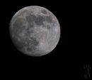 DSC08046.jpg