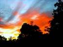 DSCN0069.JPG