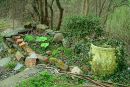 DSC_00671.jpg