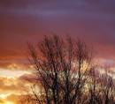 DSC_0270_edited-1.jpg