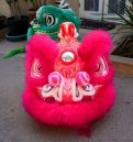 Dragon_Head_DSC_0143.jpg