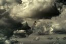 Ducks_Clouds.jpg