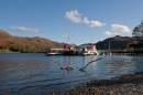 Glen_Ridding_Steamers_edited-2.jpg
