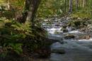 Glen_Ridding_Stream_edited-2.jpg