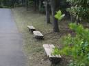 Green_Road.jpg
