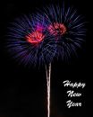 Happy_New_Year_JRG_7954adjweb683hsr72.jpg