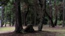 IMGA0013_CRAIG_BAY_PARK_EDIT_-_ADJUST_TOOLS_OVERVIEW_-_3_NUMBER_COLOR_VALUES.jpg